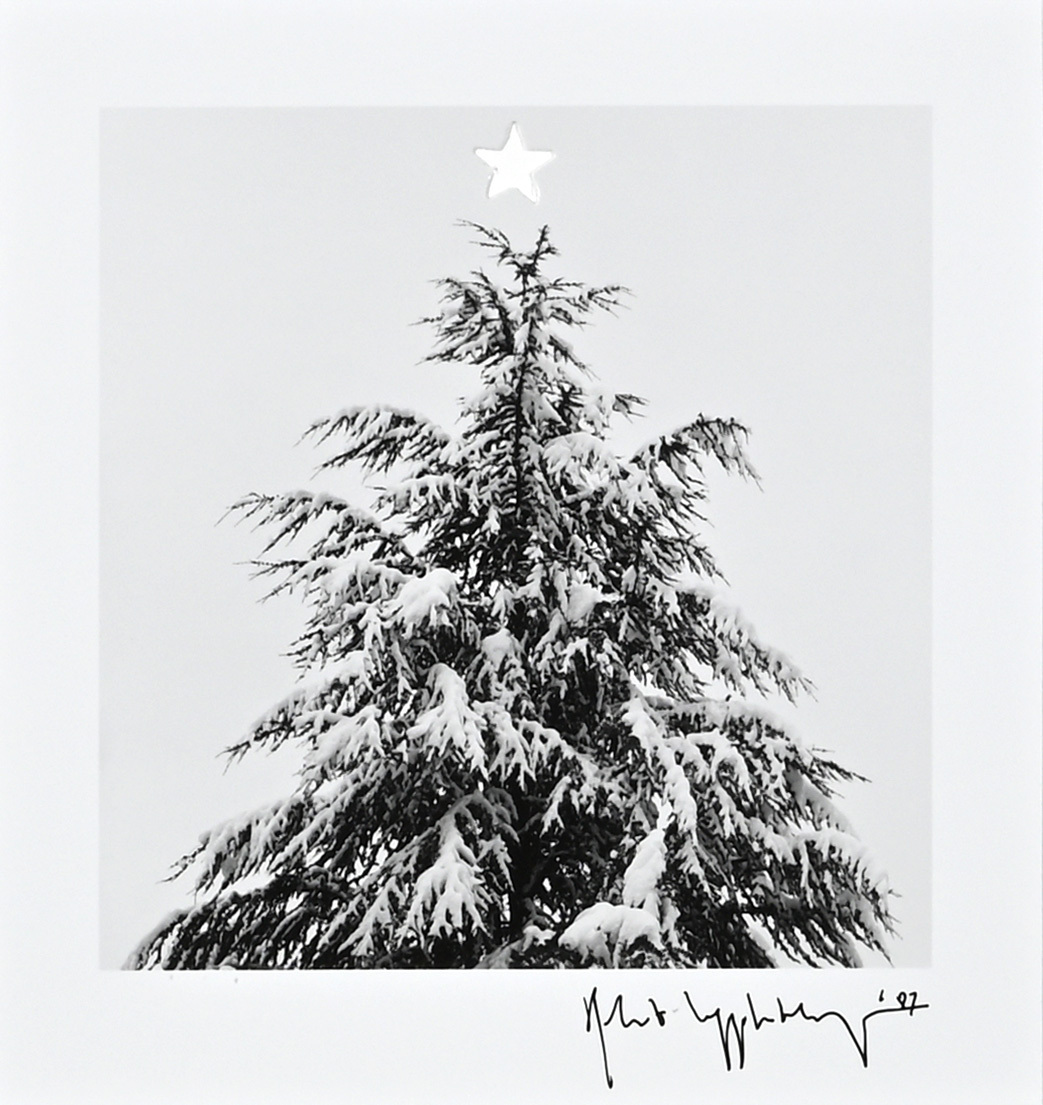 Robert Mapplethorpe, Christmas Tree
