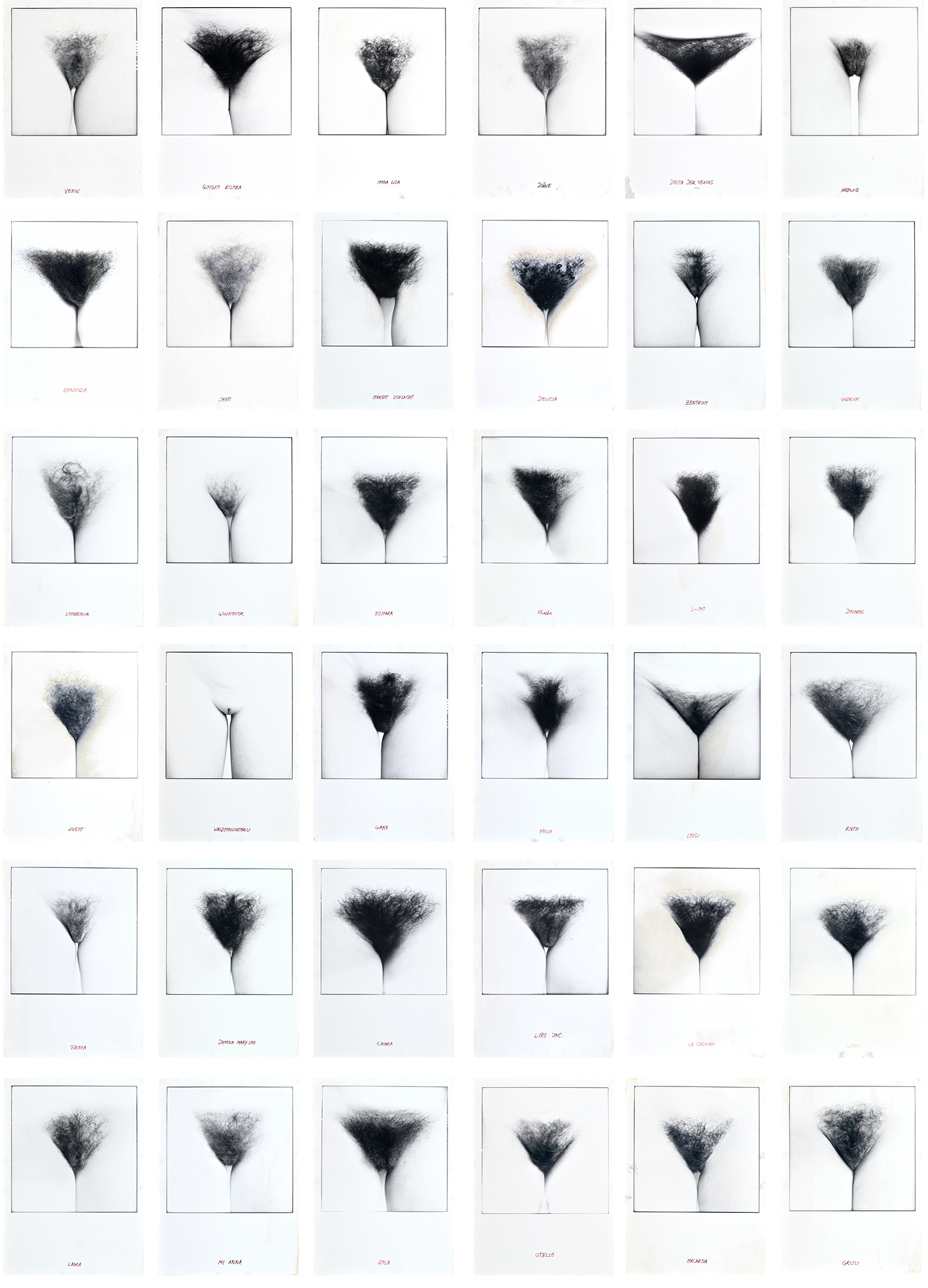 Katharina Vonow, Das magische Dreieck