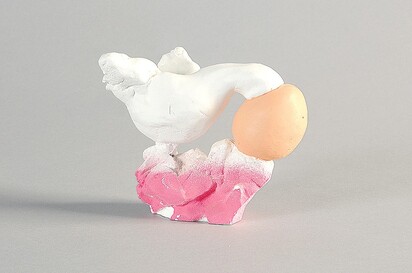 Bird Head in Egg