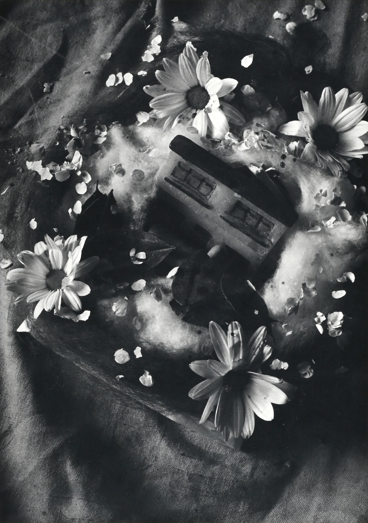 Flor Garduño, Azucar y Margaritas Bolivia