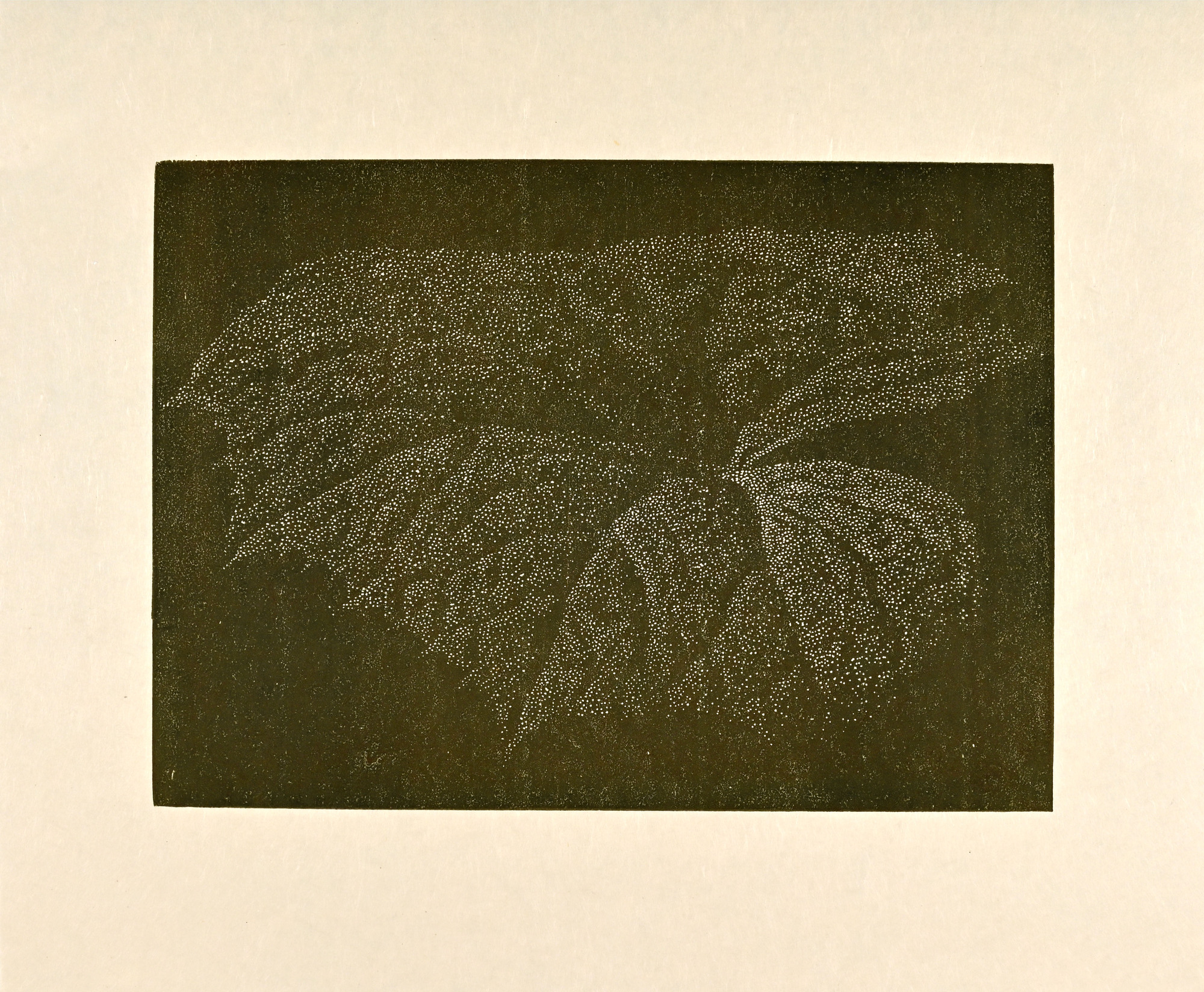 Portfolio, Cerebral